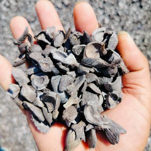 Home palm kernel shell packaged for export